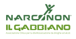 Logo Narconon Il Gabbiano Onlus